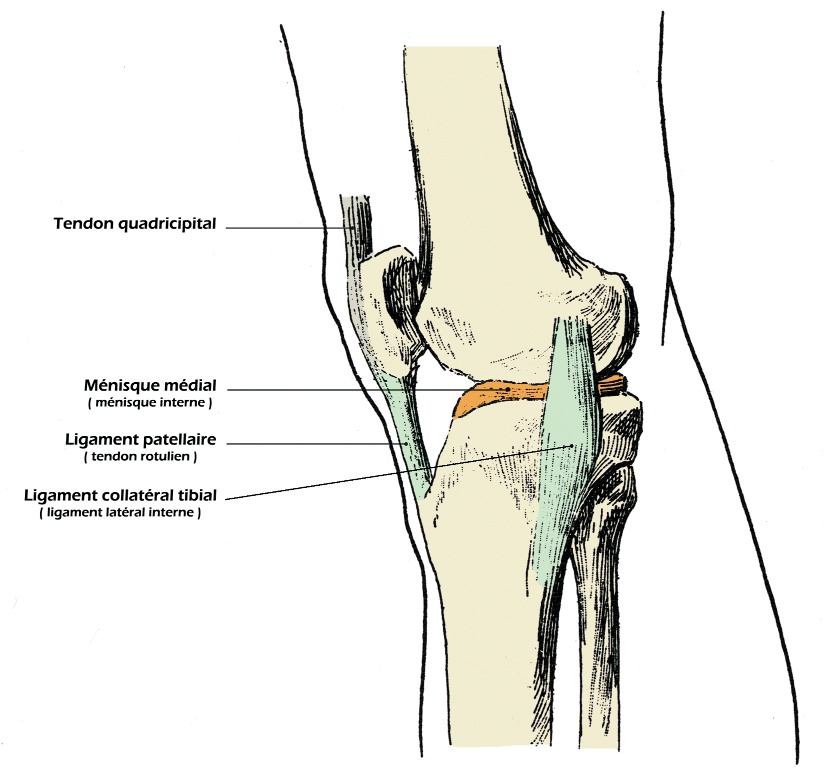 Strapping du genou 