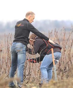 Prévention entreprise. Séminaire 2